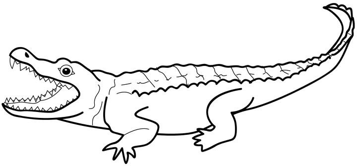 Coloring page: Alligator (Animals) #397 - Free Printable Coloring Pages
