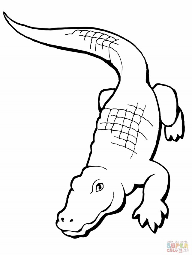 Coloring page: Alligator (Animals) #414 - Free Printable Coloring Pages