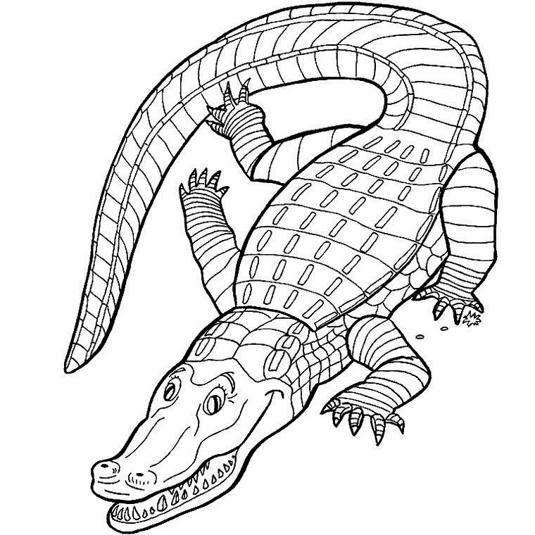Coloring page: Alligator (Animals) #434 - Free Printable Coloring Pages