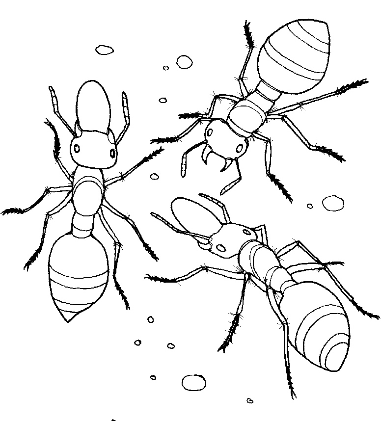 Coloring page: Ant (Animals) #6993 - Free Printable Coloring Pages