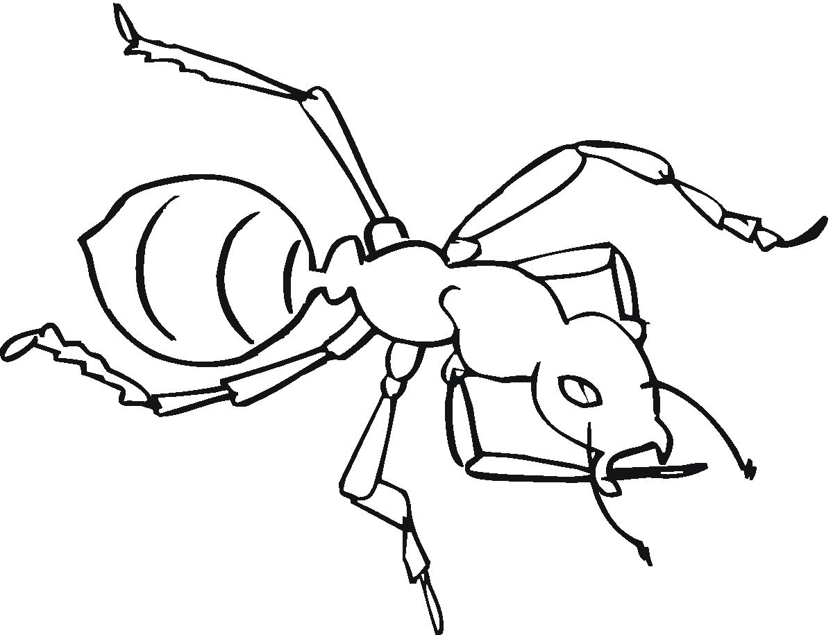 Coloring page: Ant (Animals) #7019 - Free Printable Coloring Pages