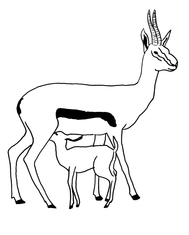 Coloring page: Antelope (Animals) #22605 - Free Printable Coloring Pages