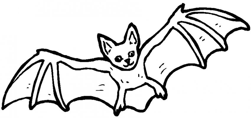 Coloring page: Bat (Animals) #1975 - Free Printable Coloring Pages