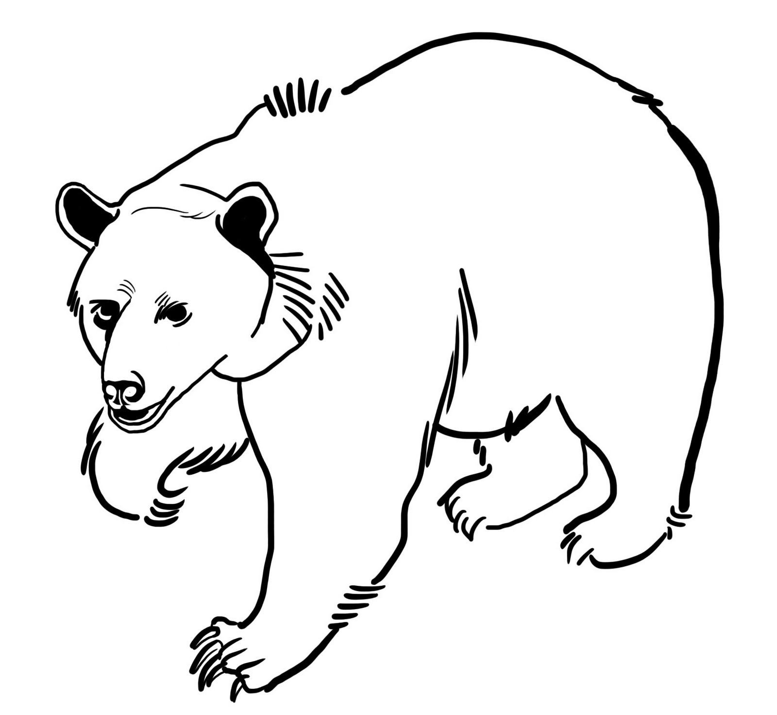 Coloring page: Bear (Animals) #12240 - Free Printable Coloring Pages