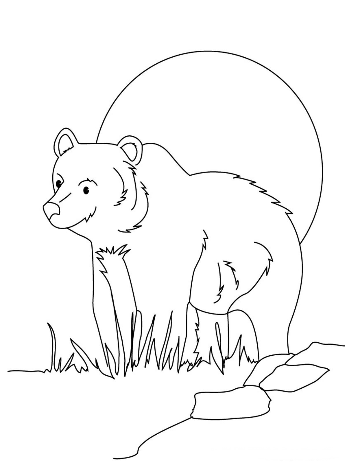 Coloring page: Bear (Animals) #12317 - Free Printable Coloring Pages