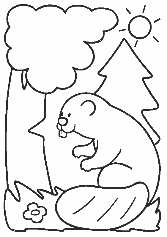 Coloring page: Beaver (Animals) #1594 - Free Printable Coloring Pages