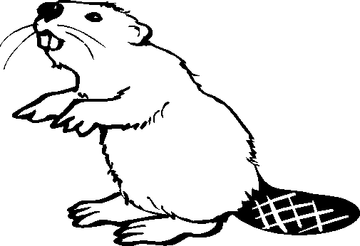Coloring page: Beaver (Animals) #1602 - Free Printable Coloring Pages