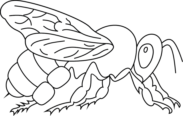 Coloring page: Bee (Animals) #100 - Free Printable Coloring Pages