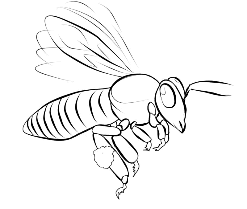 Coloring page: Bee (Animals) #126 - Free Printable Coloring Pages