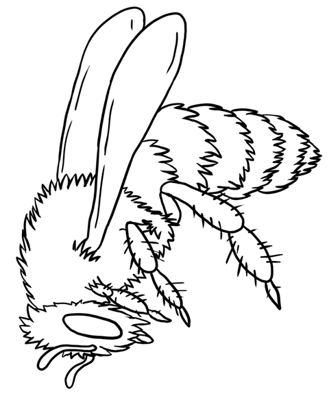 Coloring page: Bee (Animals) #141 - Free Printable Coloring Pages