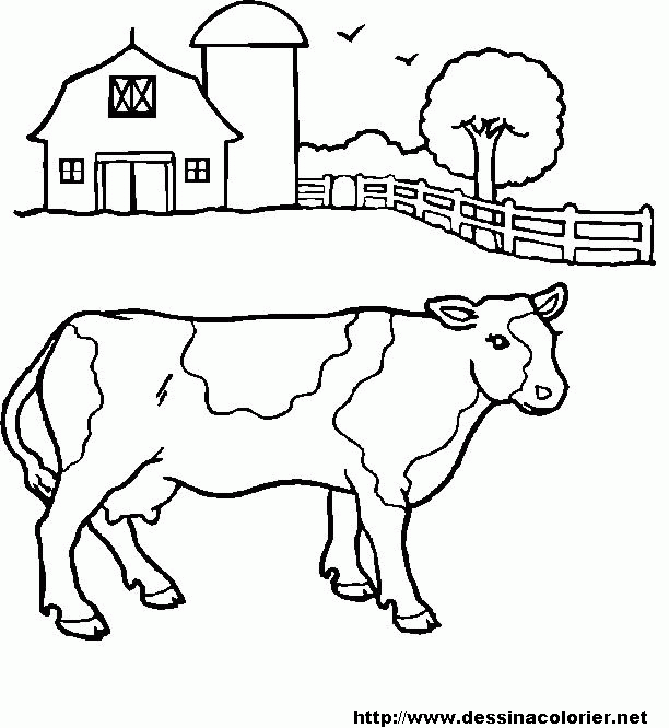 Coloring page: Beef (Animals) #1347 - Free Printable Coloring Pages