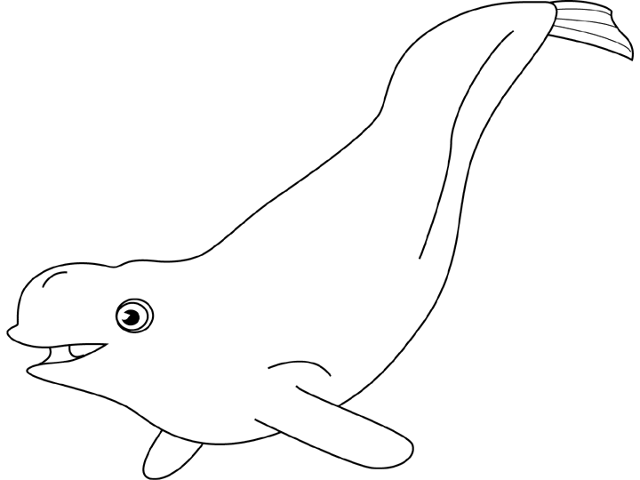 Coloring page: Beluga (Animals) #1042 - Free Printable Coloring Pages