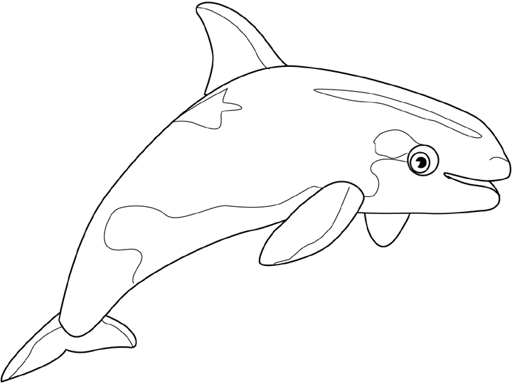 Coloring page: Beluga (Animals) #1073 - Free Printable Coloring Pages