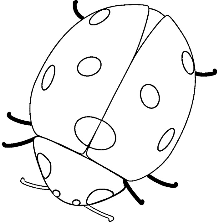 Coloring page: Bettle (Animals) #3418 - Free Printable Coloring Pages