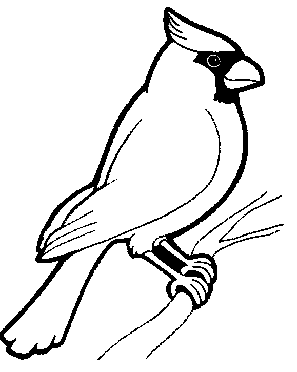 Coloring page: Birds (Animals) #11846 - Free Printable Coloring Pages