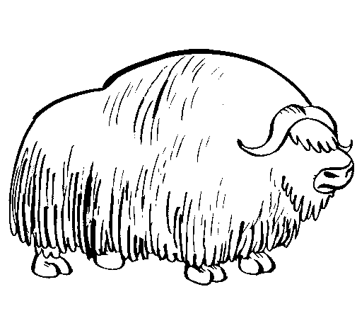 Coloring page: Bison (Animals) #1200 - Free Printable Coloring Pages