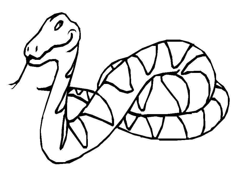 Coloring page: Boa (Animals) #1297 - Free Printable Coloring Pages