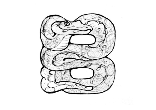Coloring page: Boa (Animals) #1324 - Free Printable Coloring Pages