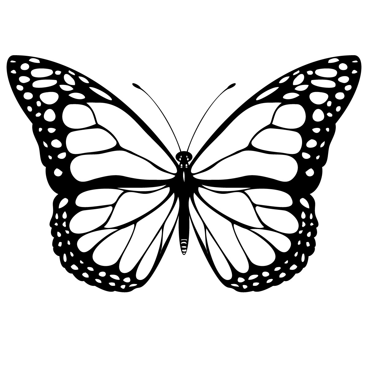 Coloring page: Butterfly (Animals) #15662 - Free Printable Coloring Pages