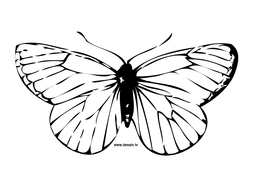 Coloring page: Butterfly (Animals) #15675 - Free Printable Coloring Pages