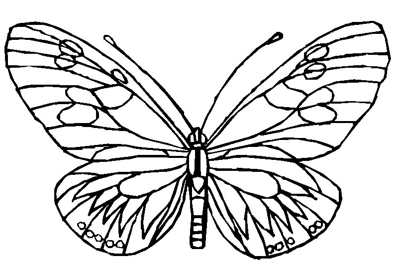 Coloring page: Butterfly (Animals) #15745 - Free Printable Coloring Pages