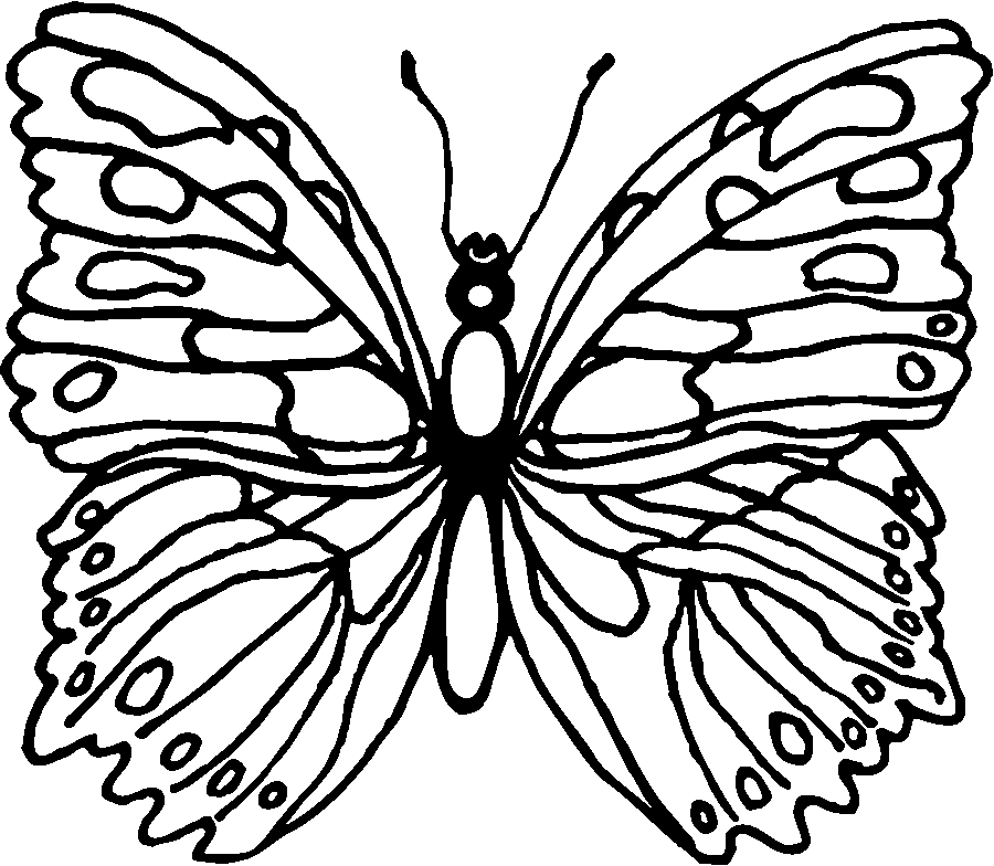 Coloring page: Butterfly (Animals) #15746 - Free Printable Coloring Pages