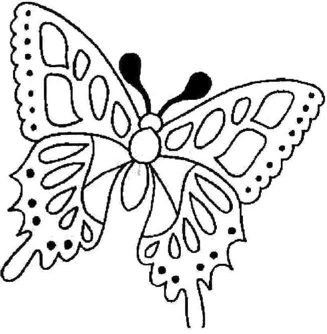 Coloring page: Butterfly (Animals) #15781 - Free Printable Coloring Pages