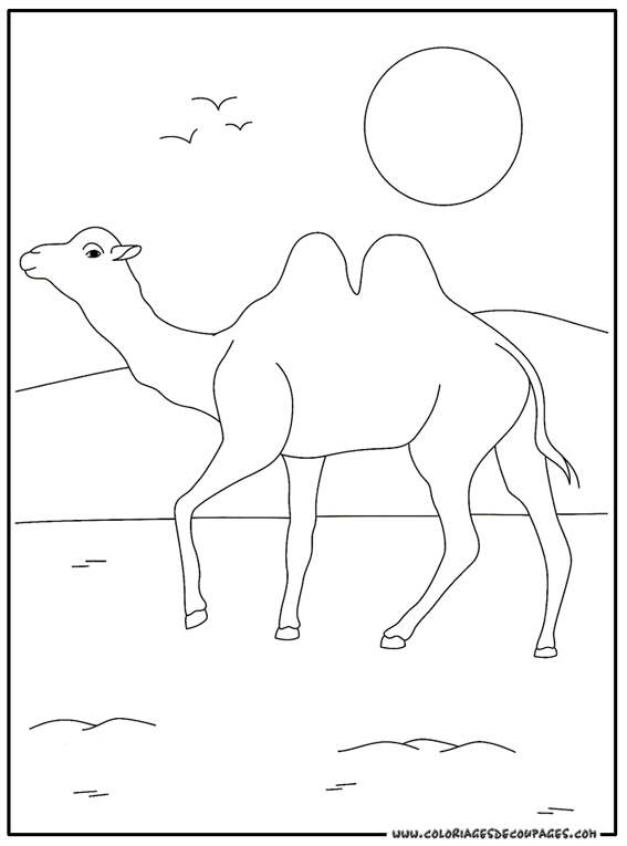 Coloring page: Camel (Animals) #1672 - Free Printable Coloring Pages