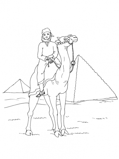 Coloring page: Camel (Animals) #1713 - Free Printable Coloring Pages