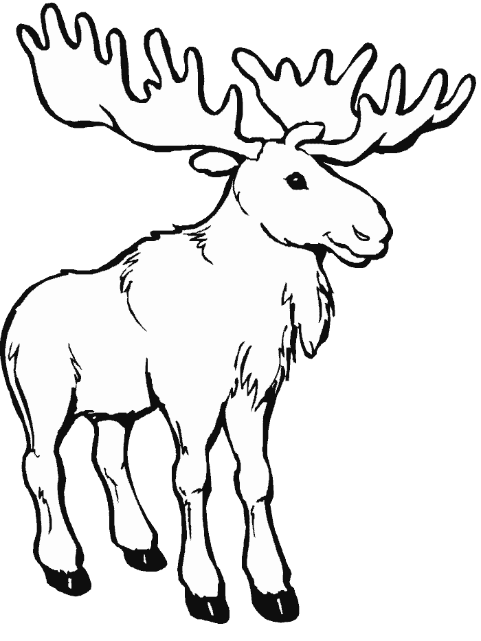 Coloring page: Caribou (Animals) #1542 - Free Printable Coloring Pages