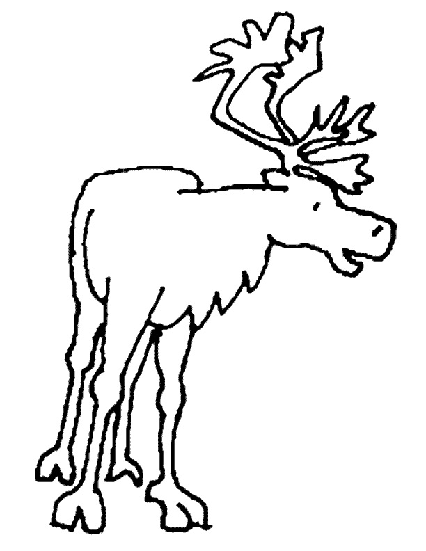 Coloring page: Caribou (Animals) #1549 - Free Printable Coloring Pages