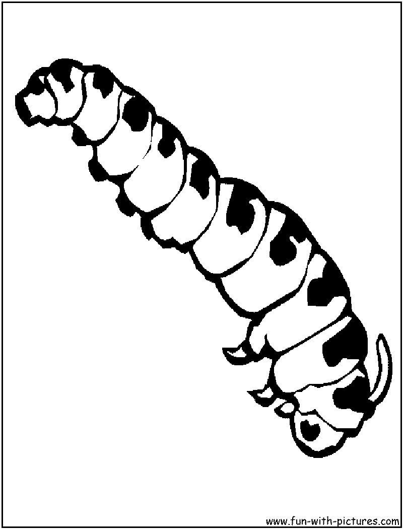 Coloring page: Caterpillar (Animals) #18238 - Free Printable Coloring Pages