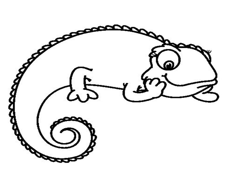Coloring page: Chameleon (Animals) #1398 - Free Printable Coloring Pages