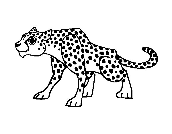 Coloring page: Cheetah (Animals) #7892 - Free Printable Coloring Pages