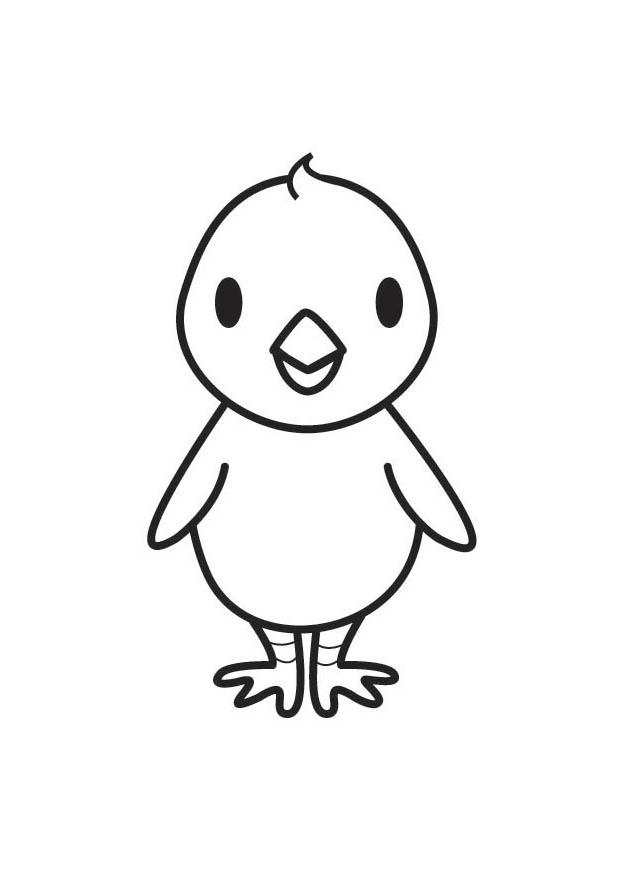 Coloring page: Chick (Animals) #15340 - Free Printable Coloring Pages