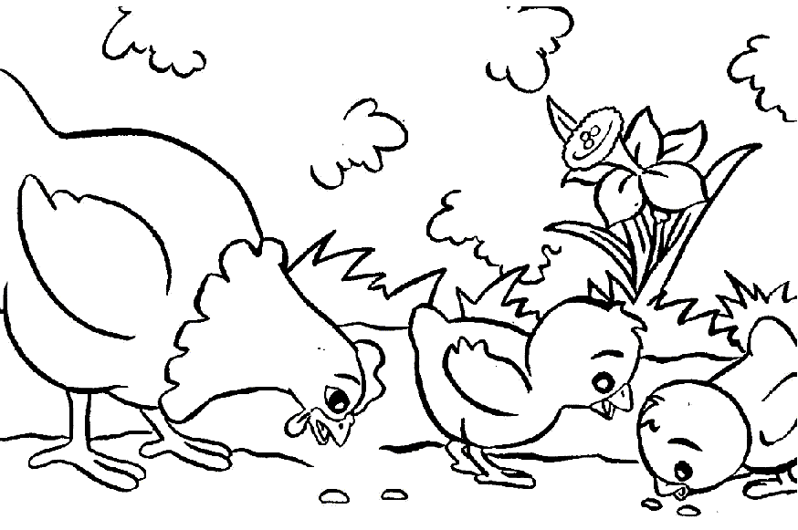 Coloring page: Chicken (Animals) #17248 - Free Printable Coloring Pages