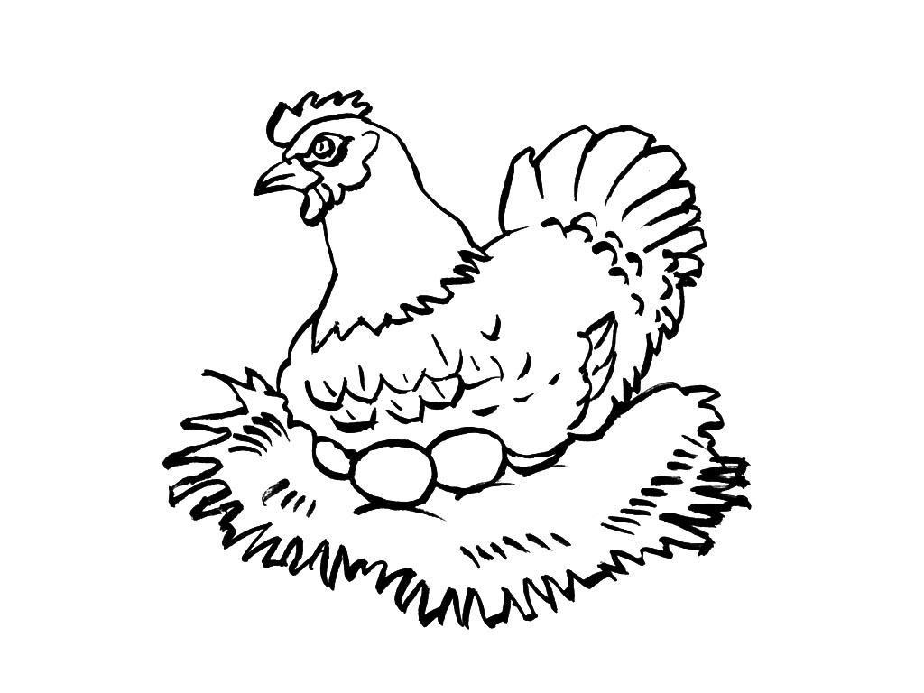 Coloring page: Chicken (Animals) #17397 - Free Printable Coloring Pages