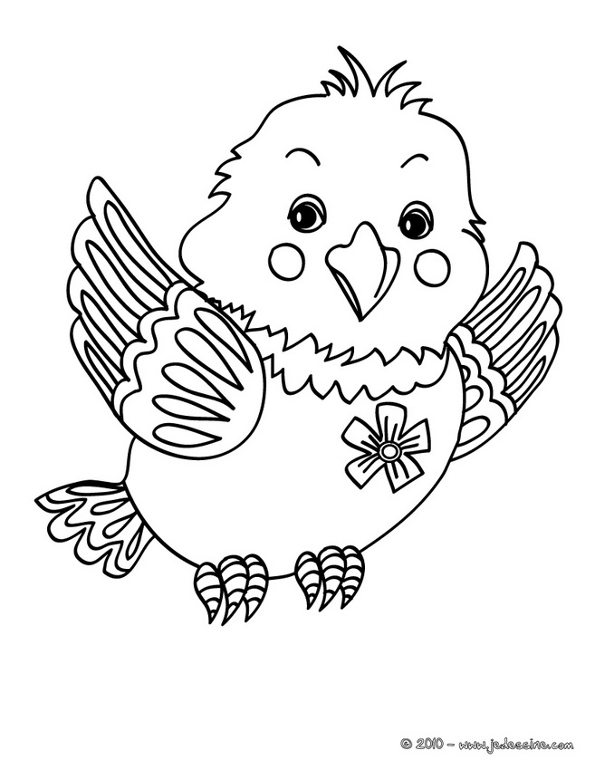 Coloring page: Chicks (Animals) #20122 - Free Printable Coloring Pages