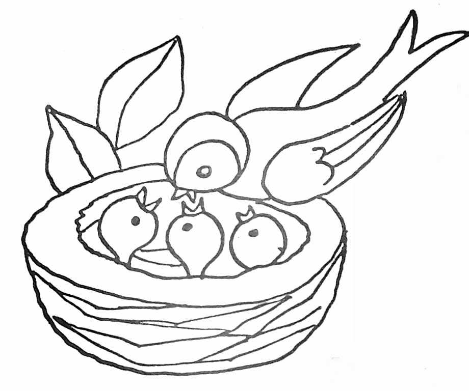 Coloring page: Chicks (Animals) #20311 - Free Printable Coloring Pages