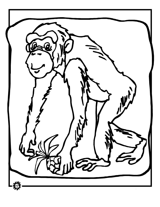 Coloring page: Chimpanzee (Animals) #2798 - Free Printable Coloring Pages