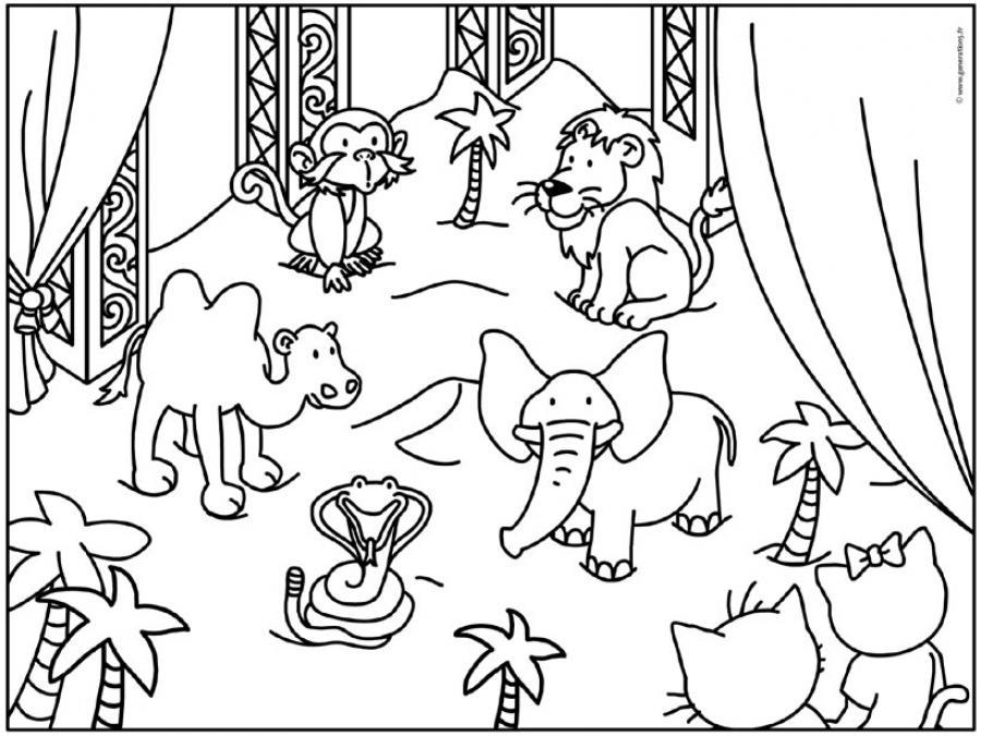 Coloring page: Circus animals (Animals) #20891 - Free Printable Coloring Pages