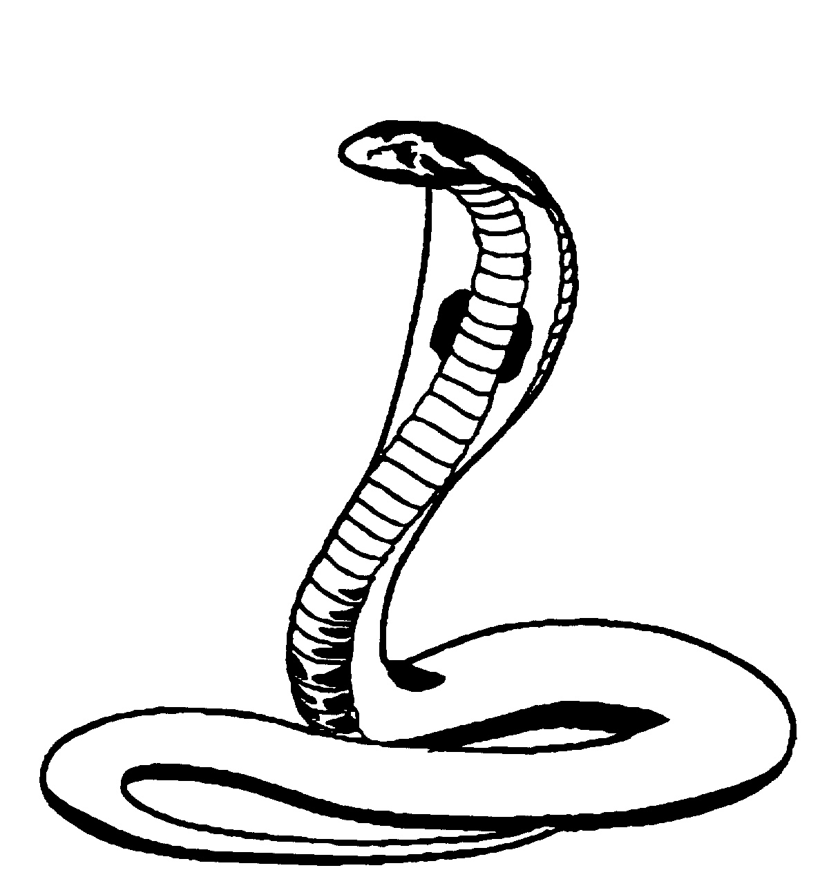 Coloring page: Cobra (Animals) #3296 - Free Printable Coloring Pages