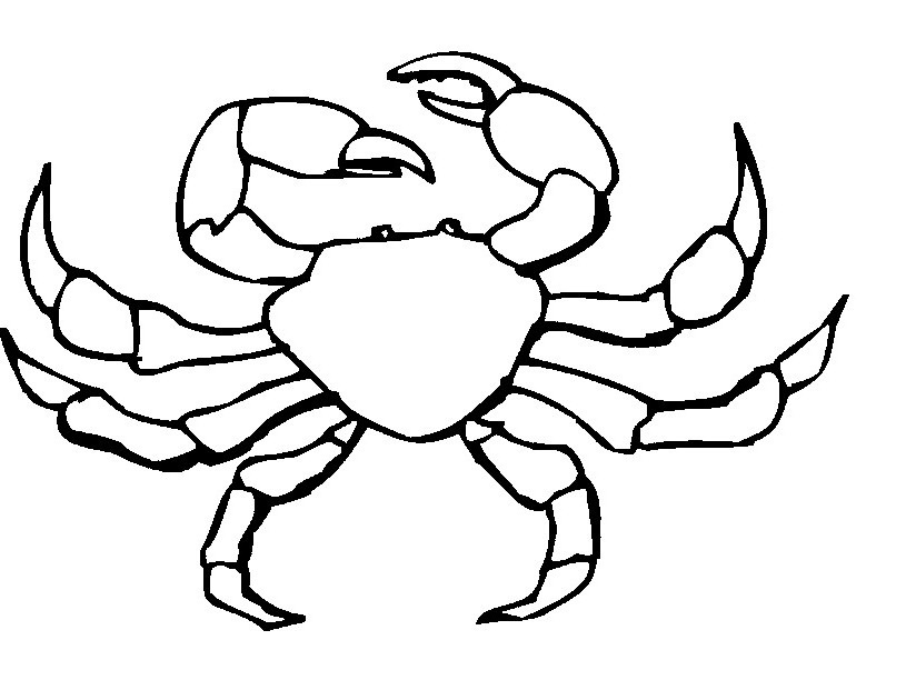 Coloring page: Crab (Animals) #4691 - Free Printable Coloring Pages