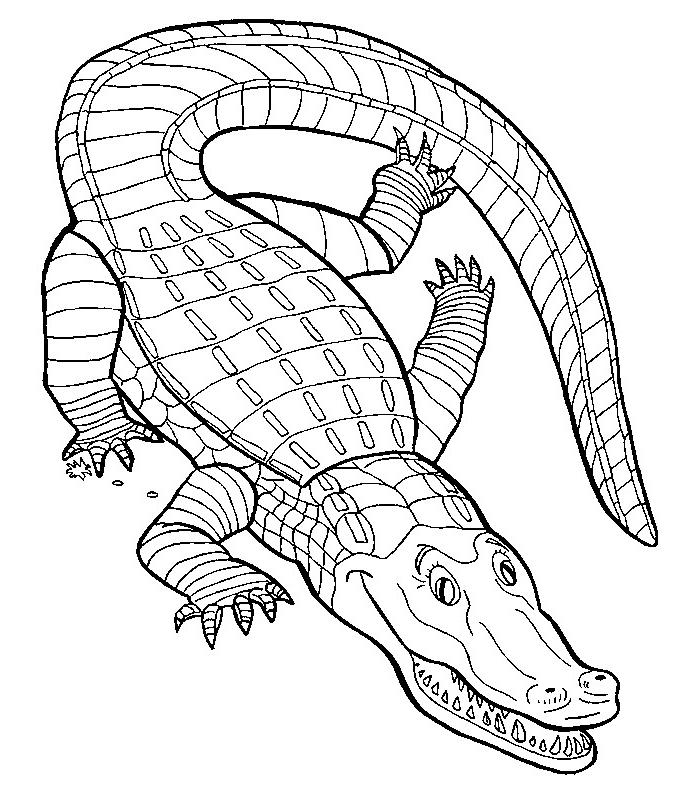 Coloring page: Crocodile (Animals) #4817 - Free Printable Coloring Pages