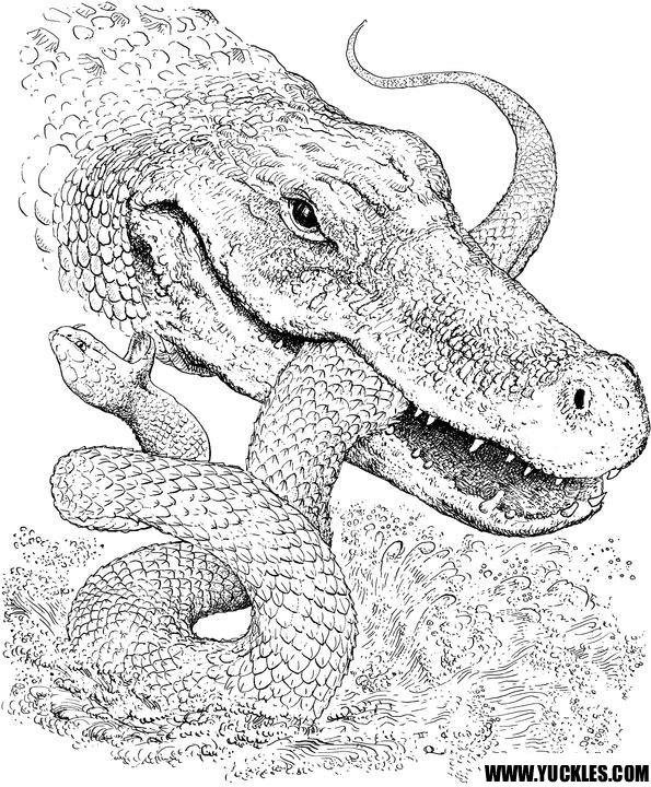 Coloring page: Crocodile (Animals) #4854 - Free Printable Coloring Pages