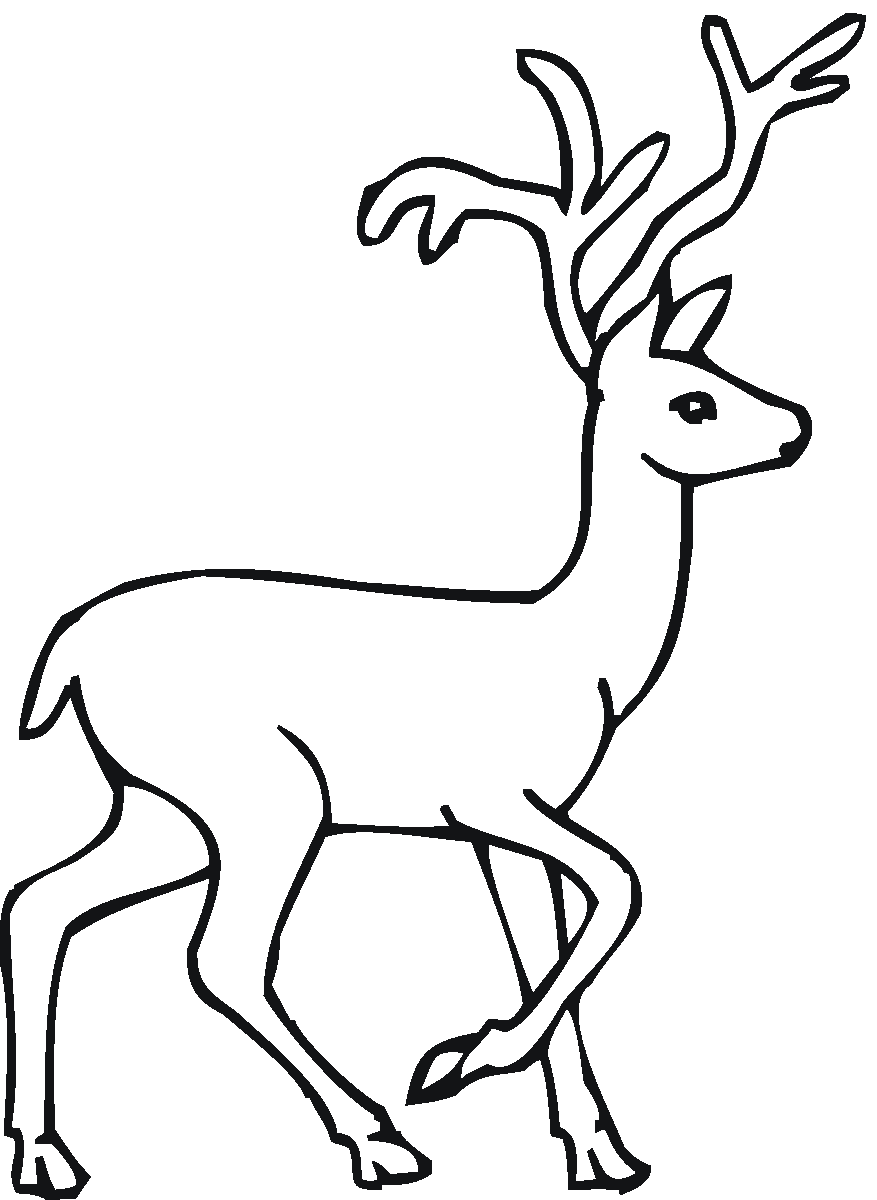Coloring page: Deer (Animals) #2578 - Free Printable Coloring Pages
