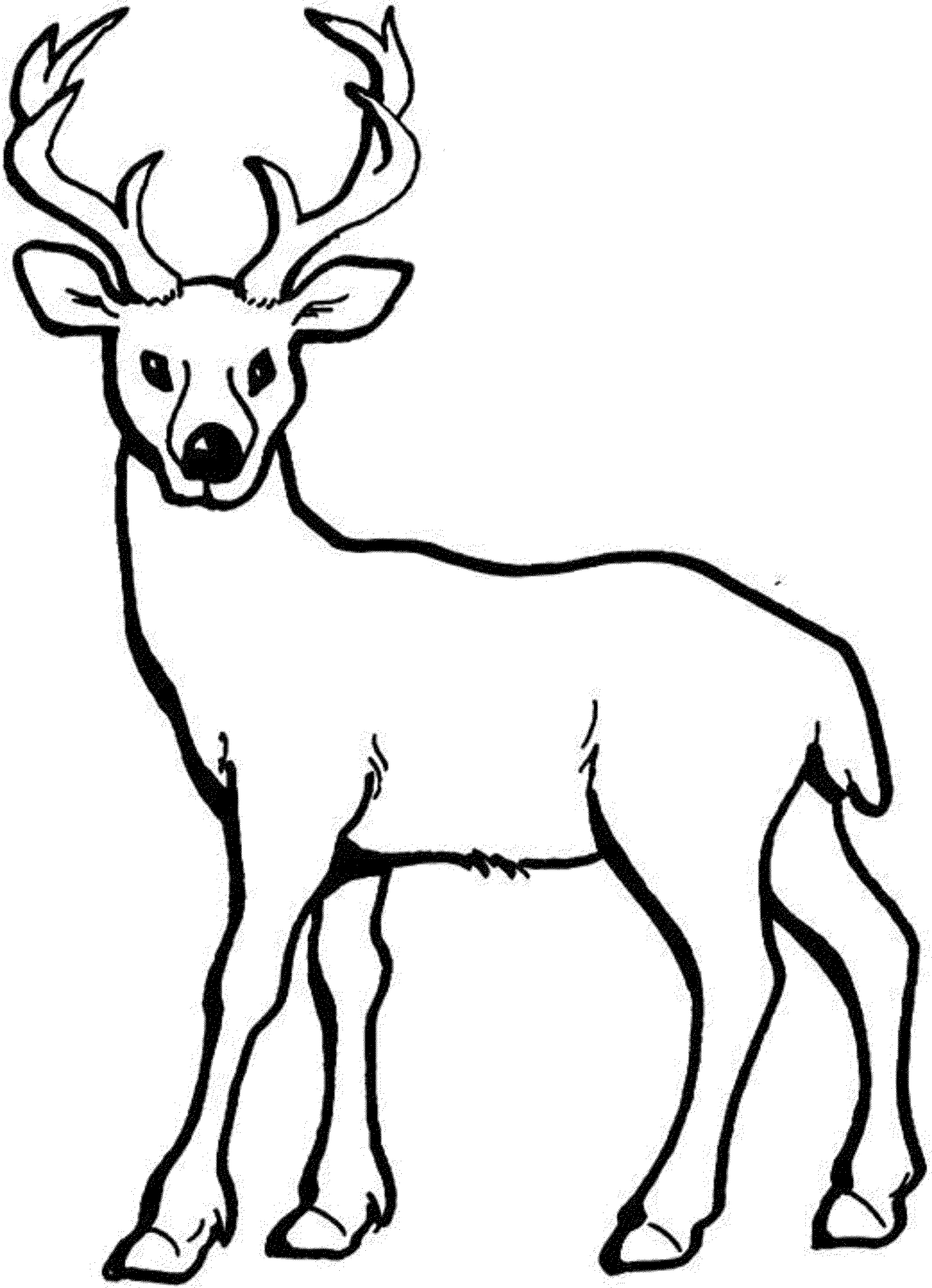 Coloring page: Deer (Animals) #2581 - Free Printable Coloring Pages
