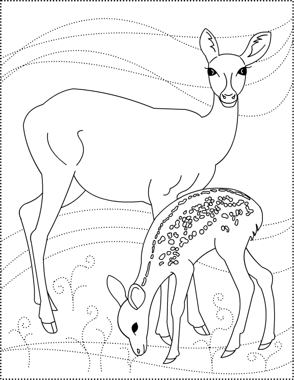 Coloring page: Deer (Animals) #2601 - Free Printable Coloring Pages