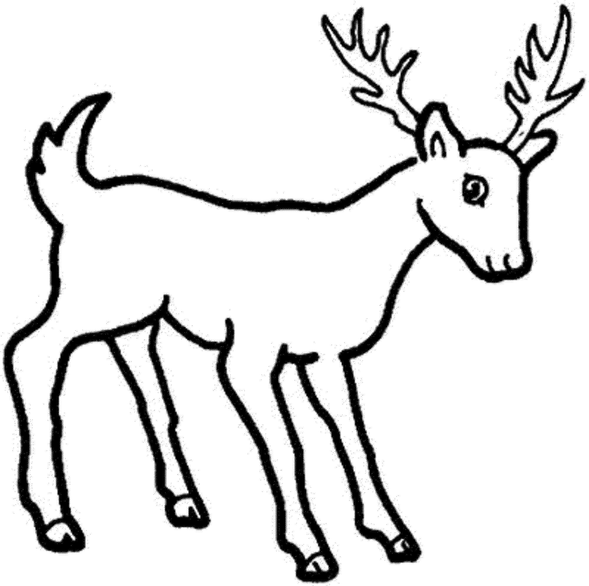Coloring page: Deer (Animals) #2650 - Free Printable Coloring Pages