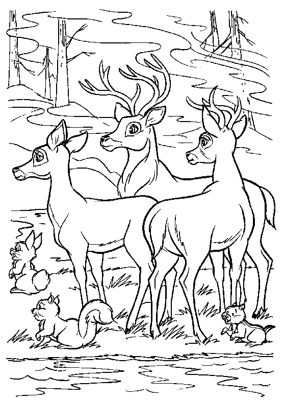 Coloring page: Doe (Animals) #1099 - Free Printable Coloring Pages